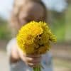 Fun Holidays - Bring Flowers to Someone Day