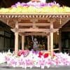 Japan Holidays - Flower Festival (Hana Matsuri)