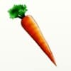 International holidays - International Carrot Day