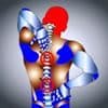 Всемирный день позвоночника (World Spine Day)