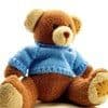 Международный день плюшевого мишки(International Teddy Bear Day)