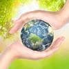 World Environment Day