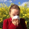 International holidays - World Allergy Day