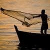 International holidays - World Fishing Day