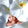 International White Orchid Day