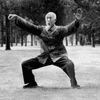 World Tai Chi and Qigong Day