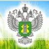 Day of creation of the State Plant Quarantine Service in Russia