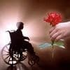 International holidays - International Day for the Rights of Persons with Disabilities