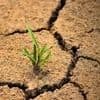 UN Holidays - World Day to Combat Desertification and Drought