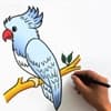 Fun Holidays - Draw a Bird Day