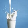 International holidays - World Milk Day