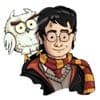 Funny Holidays - Harry Potter's Birthday