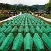 Remembrance Day for the victims of Srebrenica and all wars in Bosnia