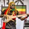 International holidays - International Reggae Day