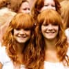 Funny Holidays - World Redhead Day