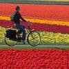 Cyclist Day in the Netherlands(Landelijke Fietsdag)