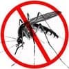 UN Holidays - World Malaria Day